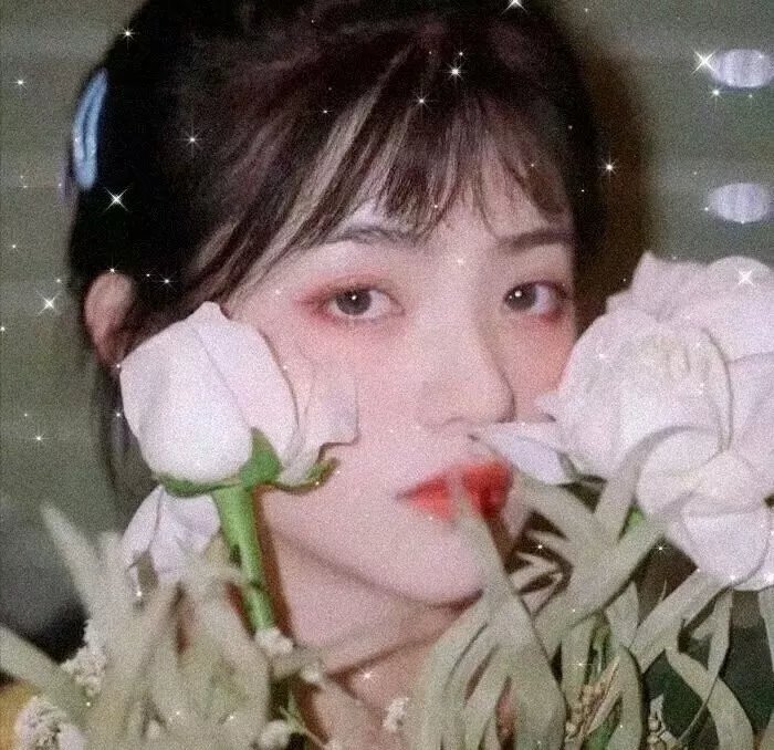 禁地之青衣玉罗